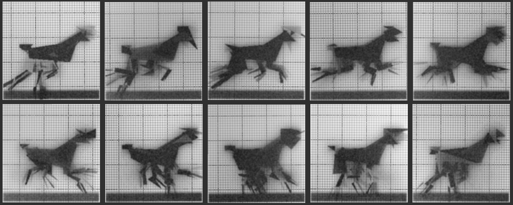 Chronophotograph 101