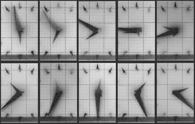 Chronophotograph 105