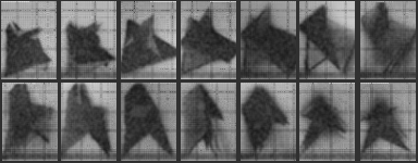 DEAFBEEF Chronophotographic Plates - Token 26