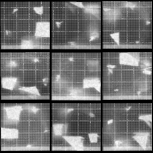 Chronophotograph 51